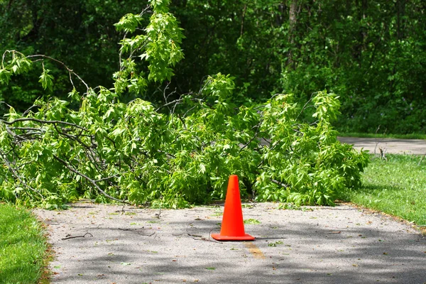 stock image Bike Path Storm Damage