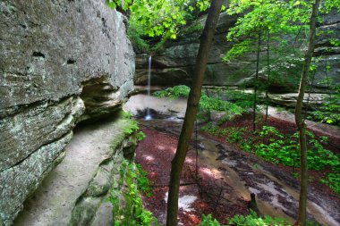 baykuş Kanyon - yıldız rock state park