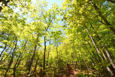 Porcupine Mountains Escarpment Trail clipart