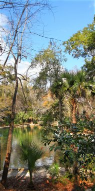 wekiwa springs Florida