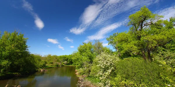 在伊利诺伊州的基什沃基河 — 图库照片