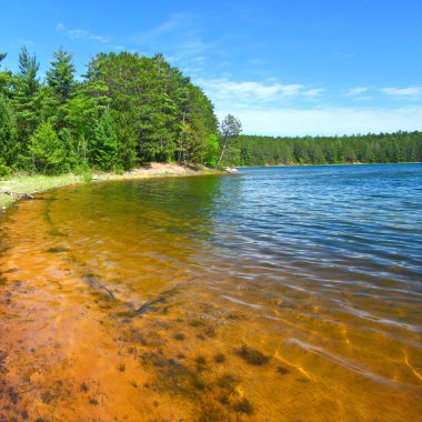 Clear Waters of Northwoods Wisconsin clipart