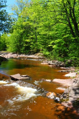 Michigan'lı Nonesuch Falls