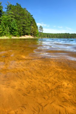 northwoods wisconsin suları temizlemek