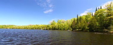 Little Horsehead Lake - Wisconsin clipart