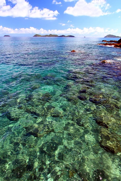 Сцена Британских Виргинских островов — стоковое фото