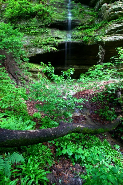 Starved Rock State Park — Stock Photo, Image