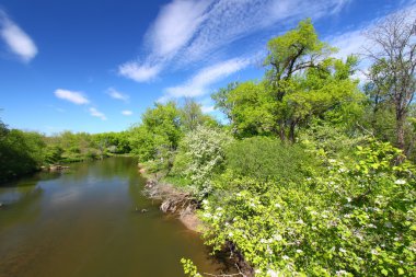 Kishwaukee River in Illinois clipart