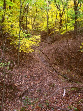 güzel gorge - Illinois