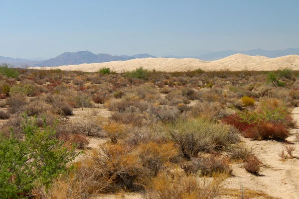 Kelso sanddyner i Kalifornien — Stockfoto