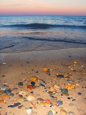 illinois beach eyalet parkı