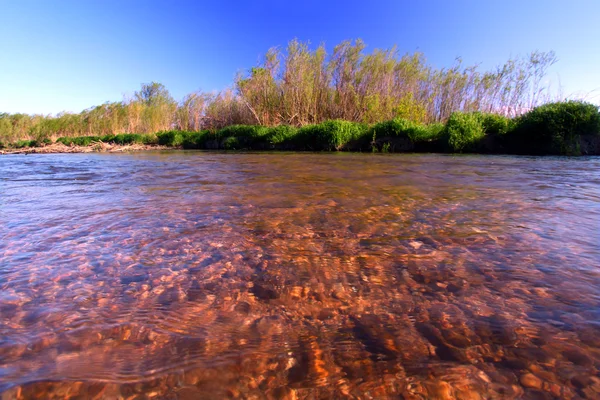 Piscasaw Creek in Illinois — Foto Stock