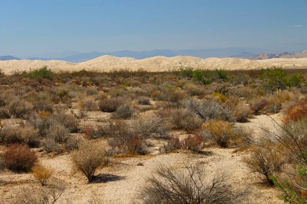 Kelso sanddyner i Kalifornien — Stockfoto