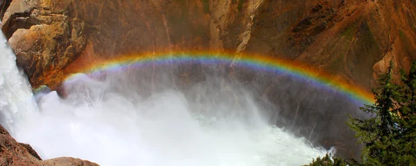 Rainbow at Lower Falls - Yellowstone — Stock Photo, Image