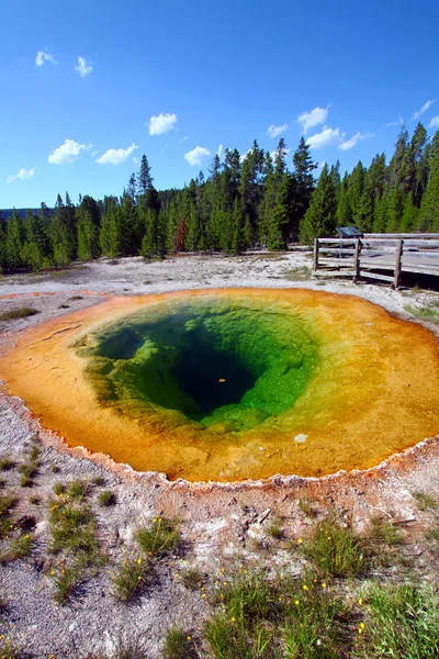 Morning Glory Pool - Yellowstone — Zdjęcie stockowe