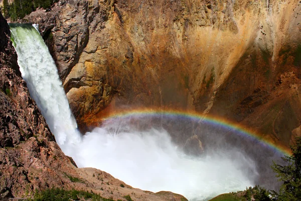 Regenboog bij lagere falls - yellowstone — Stockfoto