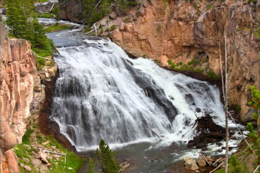 Gibbon Falls in Yellowstone clipart