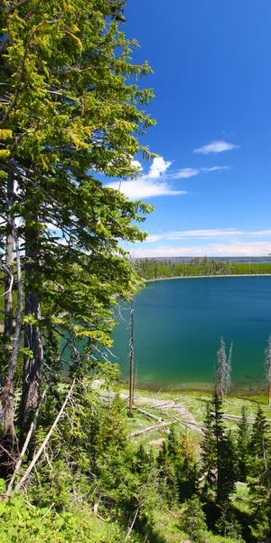 Anka lake - yellowstone np — Stockfoto
