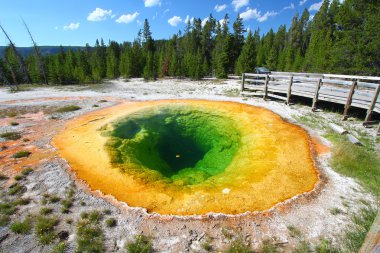 Morning Glory Pool - Yellowstone clipart