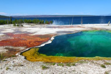 Yellowstone uçurum Havuzu