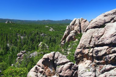 Black Hills National Forest clipart