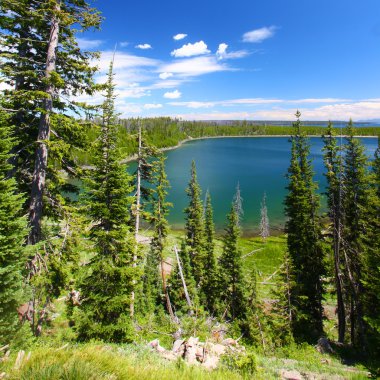 Duck Lake - Yellowstone NP clipart