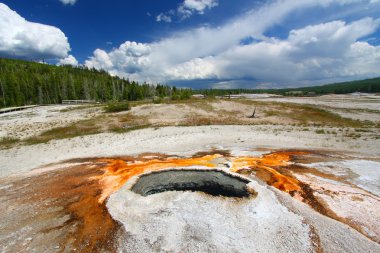 kulak bahar - yellowstone Milli Parkı