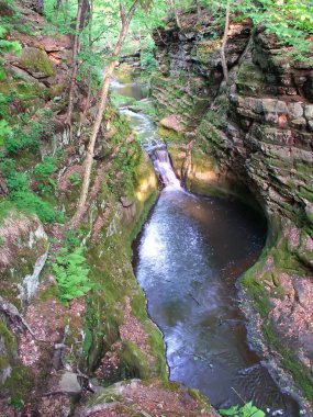 pewits yuva - wisconsin dells