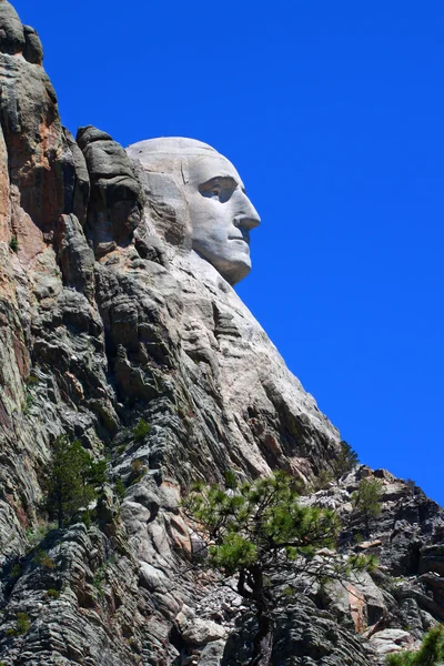 Rushmore Dağı profil görünümü — Stok fotoğraf