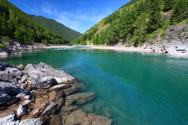 Flathead River Rapids - Montana clipart