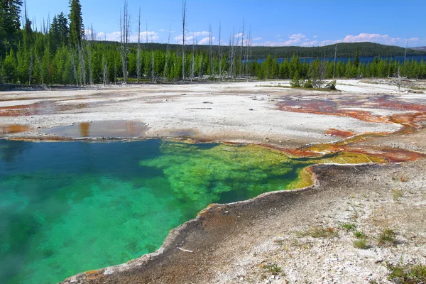 Otchłań basen Yellowstone — Zdjęcie stockowe
