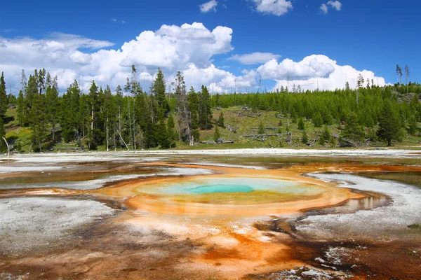 Chromatic Pool of Yellowstone — Stock Photo, Image