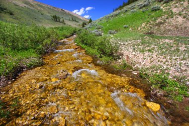 Mountain Stream - Bighorn National Forest clipart