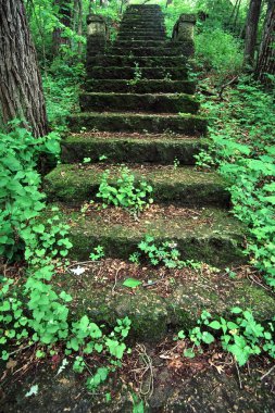 Kilbuck Bluffs Staircase - Illinois clipart