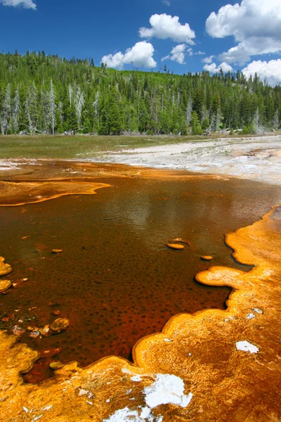 Upper geyser basin van yellowstone — Stockfoto