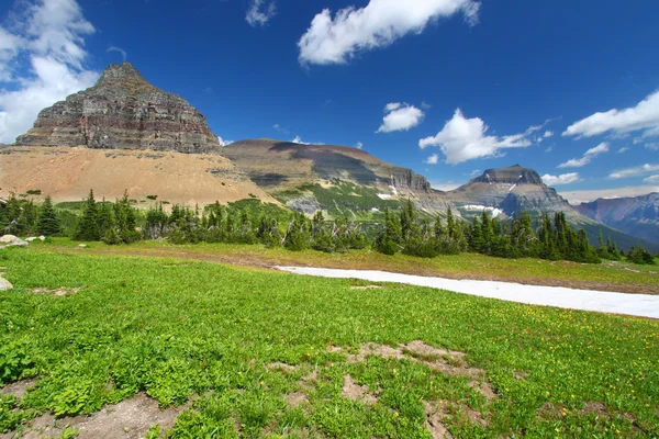 Logan Pass - Gletschernationalpark — Stockfoto