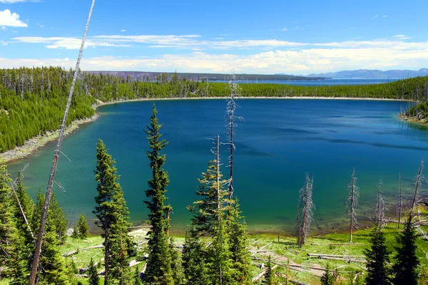 Duck Lake - Yellowstone Np — Stockfoto