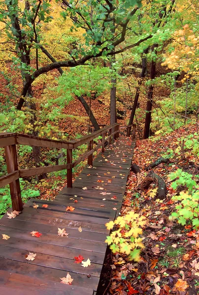 鮮やかな秋の風景 ロイヤリティフリーのストック写真