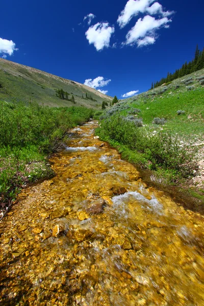 Flusso di Bighorn national forest — Foto Stock