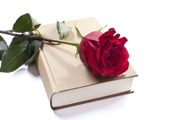 Een boek en een roos — Stockfoto