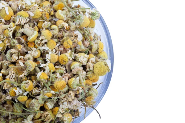 stock image Chamomile flowera