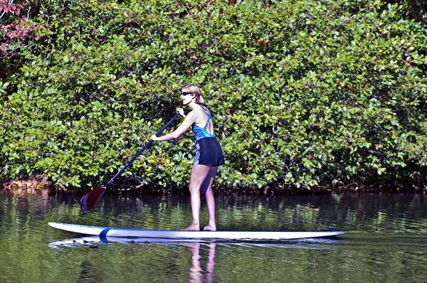 Kadın bir paddle kurulu — Stok fotoğraf
