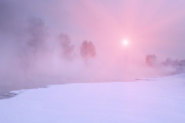 Kış frost haze peyzaj