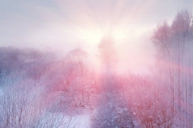 Kış frost haze peyzaj