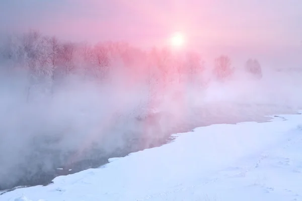 Vinter frost haze landskap — Stockfoto