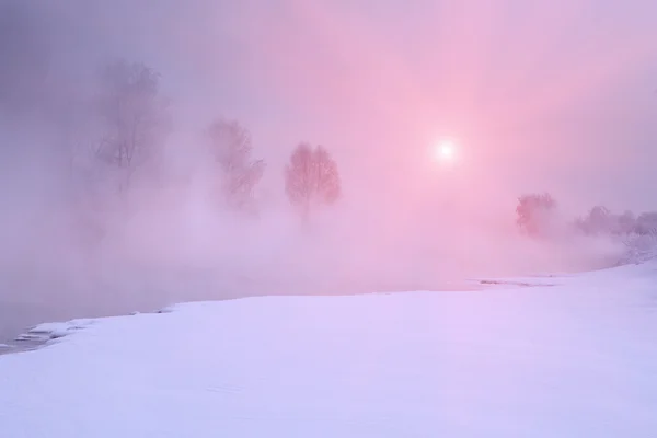 Winter frost haze landscape — Stock Photo, Image
