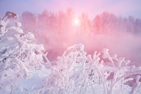 Inverno gelo foschia paesaggio — Foto Stock