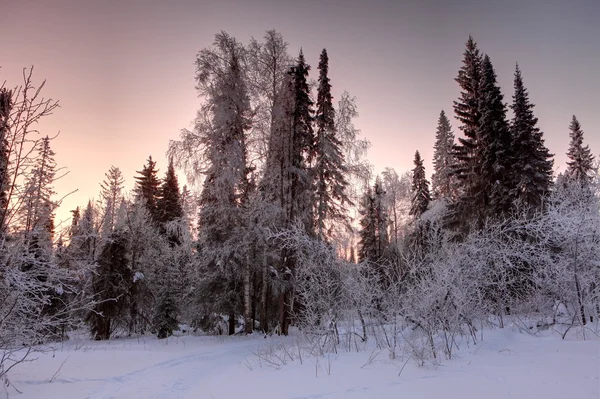 Зимний рассвет — стоковое фото