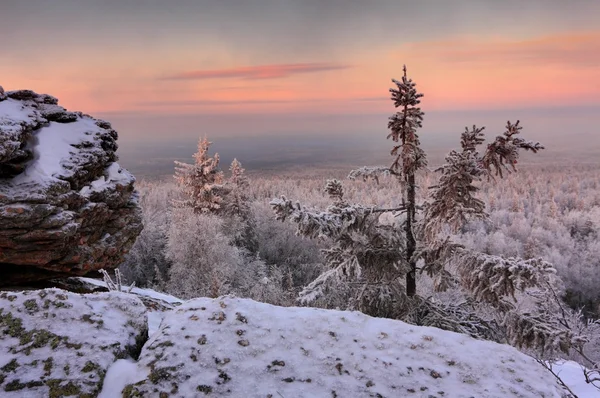 Mañana de invierno — Foto de Stock