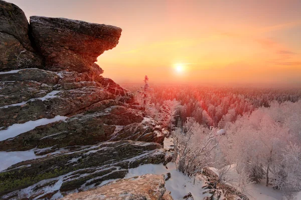 Manhã de inverno — Fotografia de Stock